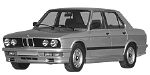 BMW E28 C209A Fault Code