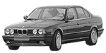 BMW E34 C209A Fault Code